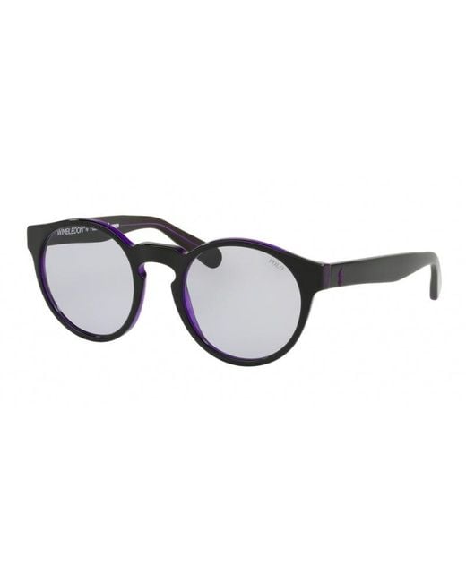 Polo Ralph Lauren Black Ph4101 56991A Sunglasses Acetate Lilac Pantos Normal