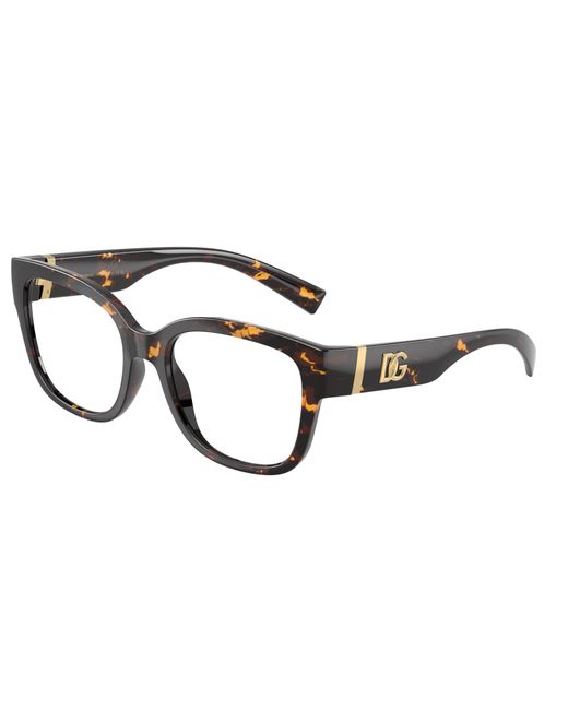 Dolce & Gabbana Black Dg5115 512 Optical Frames Injected Transparent Butterfly Normal