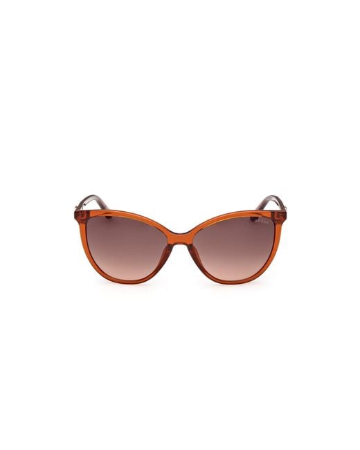 Guess Black Gu00256 44F Sunglasses Injected Cat Eye Normal
