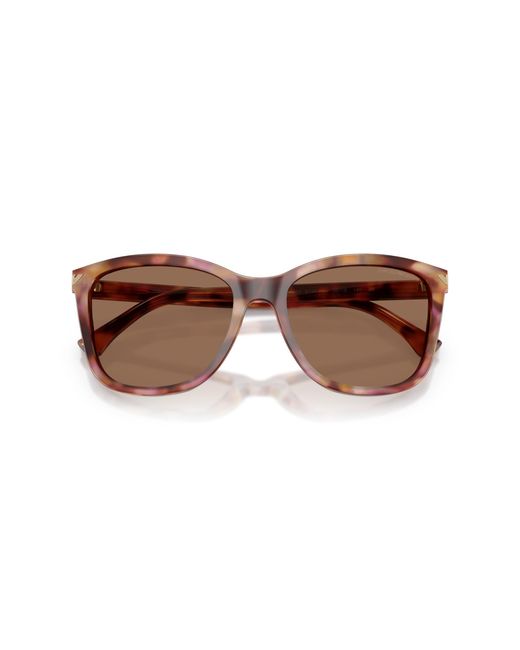 Emporio Armani Black Ea4060 619673 Sunglasses Acetate Squared Normal