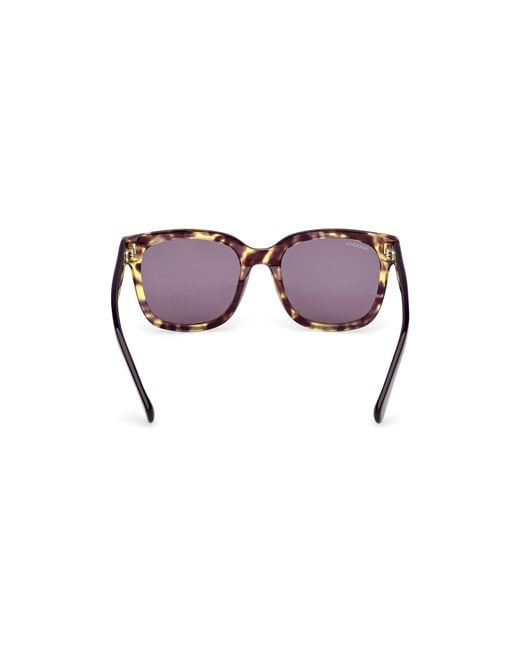 MAX&Co. Black Mo0146 56Y Sunglasses Acetate Squared Normal