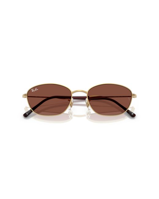 Ray-Ban Black Ray