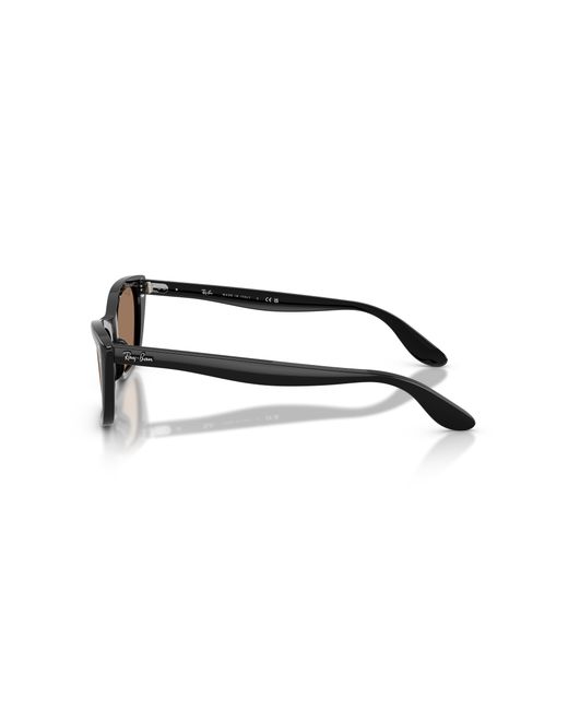 Ray-Ban Black Ray