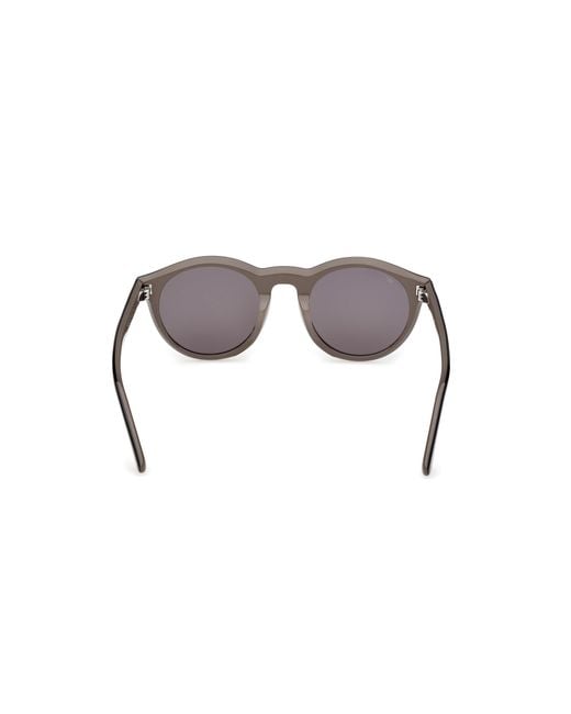 Web Black We0398 05A Sunglasses Acetate Smoke Round Normal for men