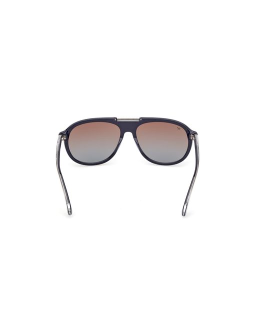 Web Black We0394 92F Sunglasses Acetate Pilot Normal for men