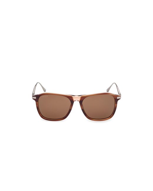 Web Black We0386 56E Sunglasses Acetate Squared Normal