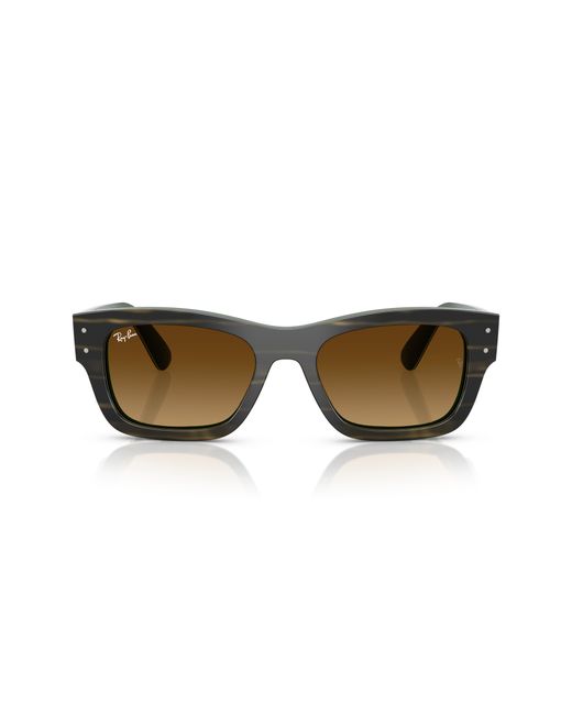 Ray-Ban Black Ray