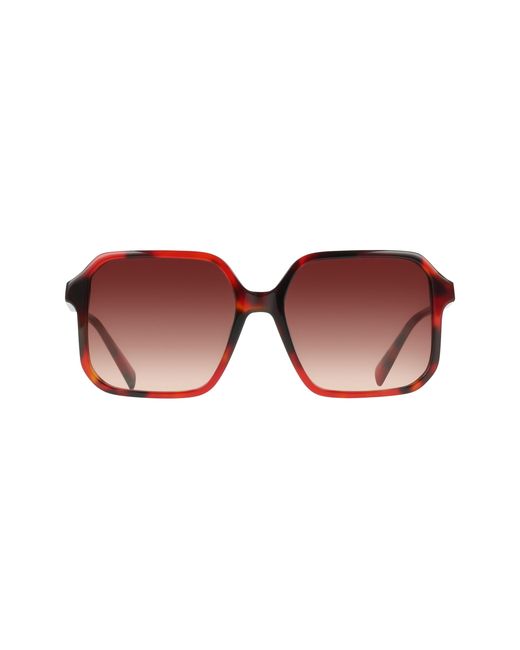 Liu Jo Black Lj830S 640 Sunglasses Acetate Squared Normal