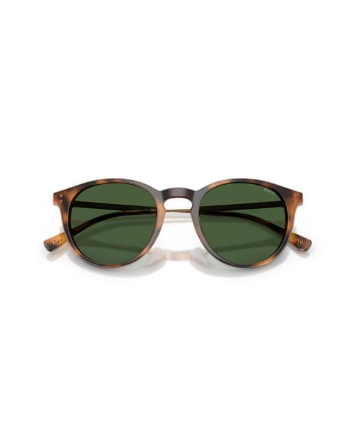 Polo Ralph Lauren Green Ph4239U 500371 Sunglasses Acetate Pantos Normal for men