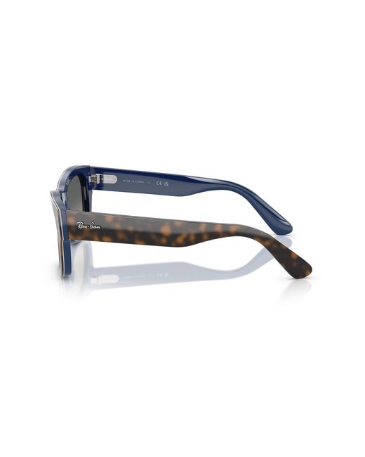 Ray-Ban Black Ray