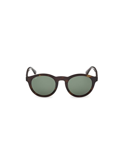 Web Black We0398 52N Sunglasses Acetate Round Normal for men