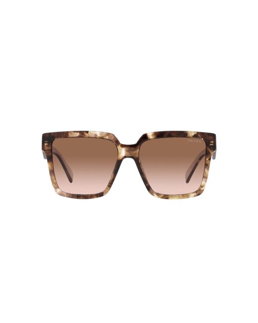 Prada Multicolor Pr 24Zs 07R0A6 Sunglasses Acetate Squared Normal Shaded
