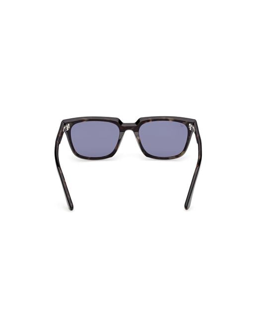 Web Black We0391 05V Sunglasses Acetate Squared Normal for men