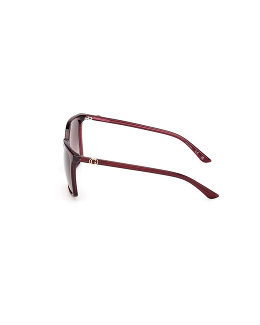 Guess Black Gu00258 69F Sunglasses Injected Squared Normal