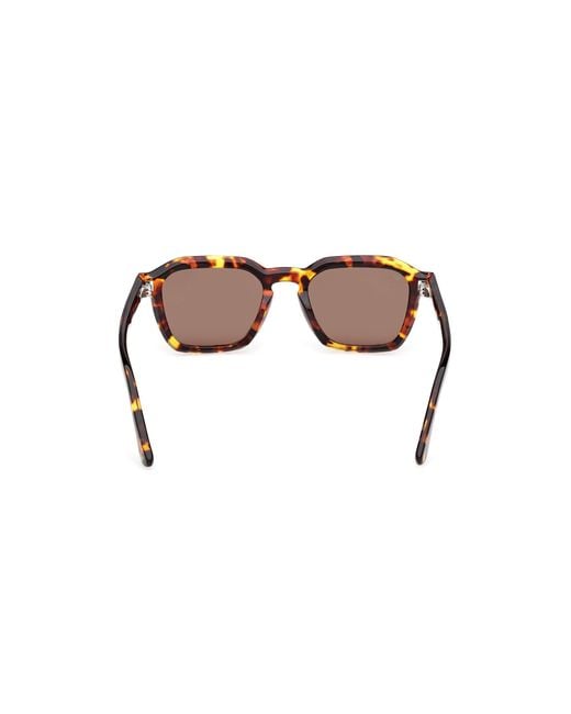 Web Black We0392 55E Sunglasses Acetate Squared Normal for men