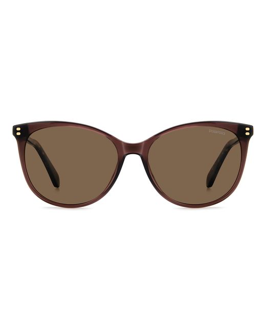 Polaroid Black Pld 4200/S/X 09Q/Sp Sunglasses Acetate Cat Eye Polarized