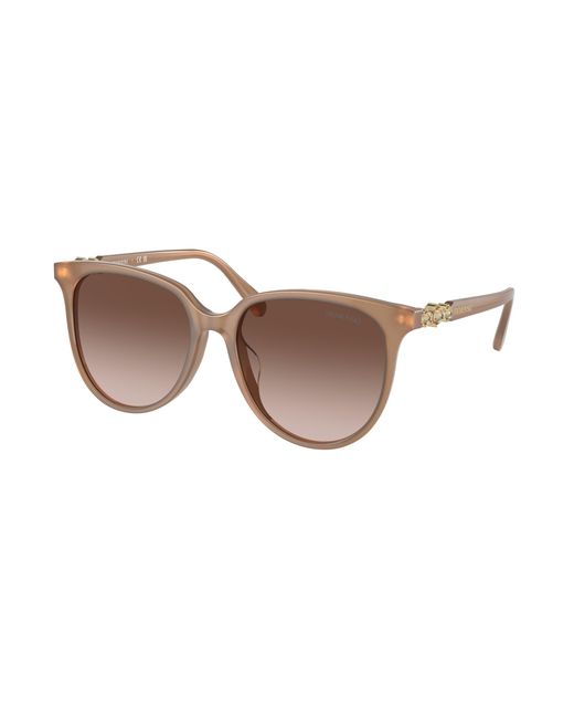 Swarovski Black Sk6023D 200213 Sunglasses Acetate Geometric Normal Shaded