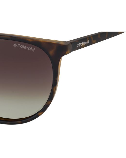 Polaroid Black Pld 6003/N/S V08/La Sunglasses Plastic Round Polarized