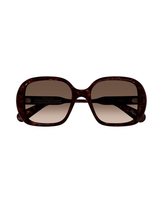 Chloé Black Ch0222S 002 Sunglasses Acetate Squared