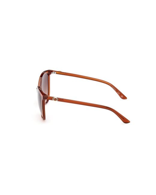 Guess Black Gu00256 44F Sunglasses Injected Cat Eye Normal