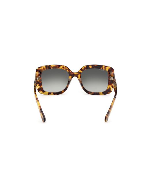 MAX&Co. Black Mo0153 53P Sunglasses Acetate Squared Normal