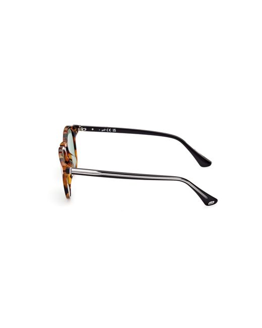 Web Black We0328 56N Sunglasses Acetate Round Normal