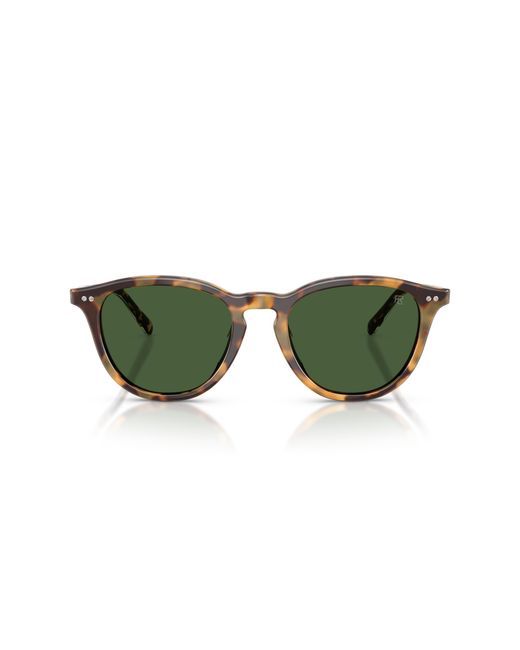 Ralph Lauren Green Rl8241U 633971 Sunglasses Acetate Pantos Normal for men