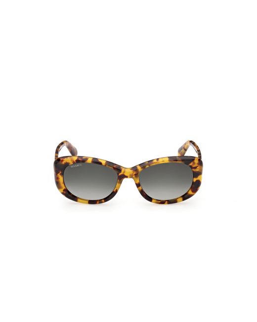 MAX&Co. Black Mo0155 53P Sunglasses Acetate Butterfly Normal