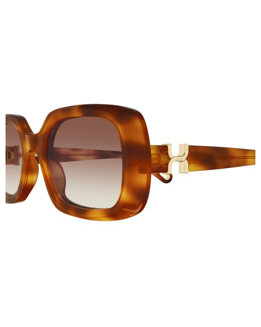 Chloé Black Ch0333S 003 Sunglasses Acetate Squared