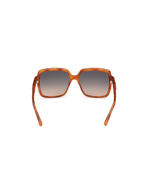 Guess Black Gu00157 53P Sunglasses Injected Squared Normal