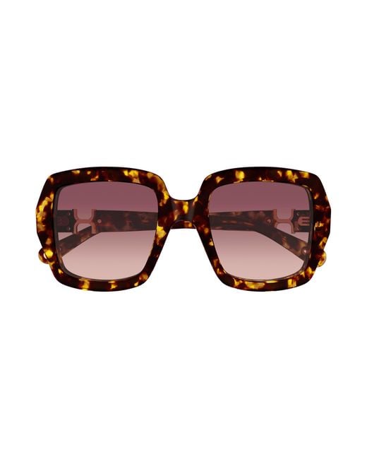 Chloé Black Ch0301S 002 Sunglasses Acetate Squared