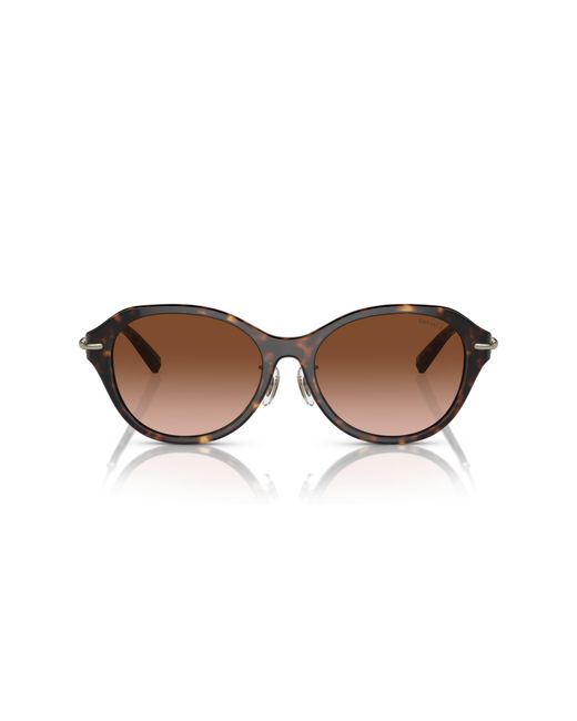 Tiffany & Co Black Tf4210D 80153B Sunglasses Acetate Round Normal Shaded