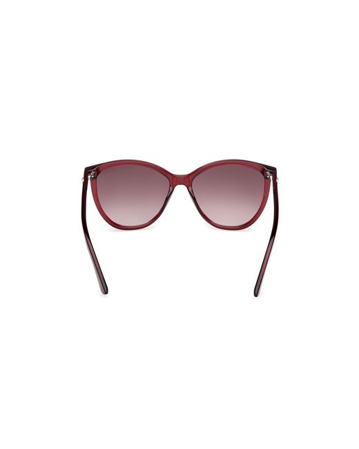 Guess Black Gu00256 69F Sunglasses Injected Cat Eye Normal