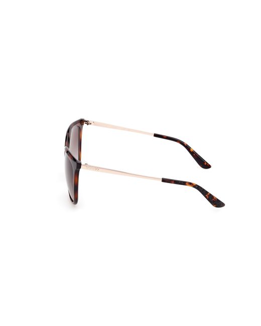Guess Black Gu00150-H 52F Sunglasses Injected Marrone Squared Normal Sfumato