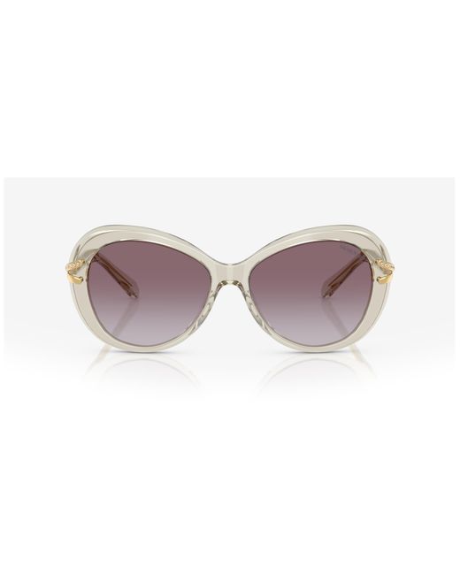 Swarovski Black Sk6026 30038H Sunglasses Acetate Butterfly Normal Shaded