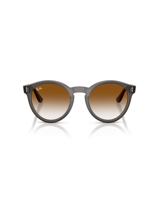 Ray-Ban Black Ray
