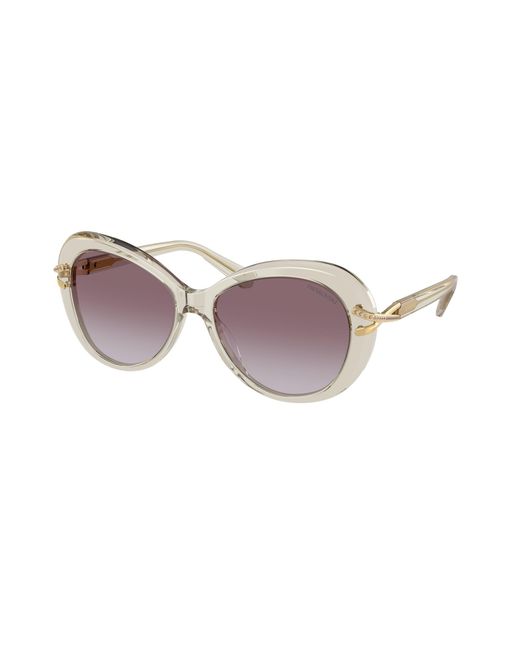 Swarovski Black Sk6026 30038H Sunglasses Acetate Butterfly Normal Shaded