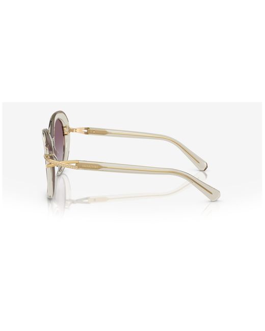 Swarovski Black Sk6026 30038H Sunglasses Acetate Butterfly Normal Shaded