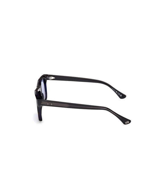 Web Black We0382 56V Sunglasses Acetate Squared Normal for men