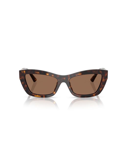 Jimmy Choo Black Jc5030U 500273 Sunglasses Acetate Cat Eye Normal