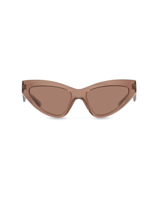 Dolce & Gabbana Brown Dg4439 3411/3 Sunglasses Acetate Cat Eye Normal