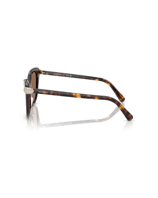 Swarovski Black Sk6039 100273 Sunglasses Acetate Cat Eye Normal