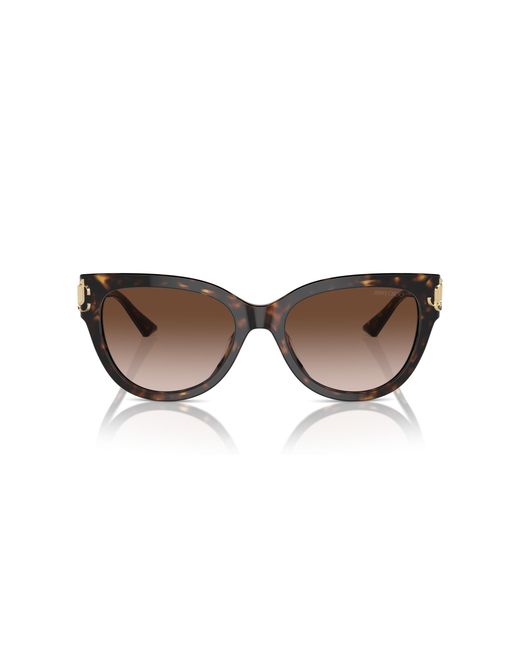 Jimmy Choo Black Jc5018U 500213 Sunglasses Acetate Pantos Normal Shaded