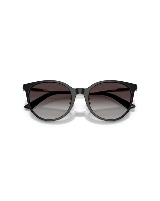 Jimmy Choo Black Jc5056Jd 50178G Sunglasses Acetate Pantos Normal Shaded