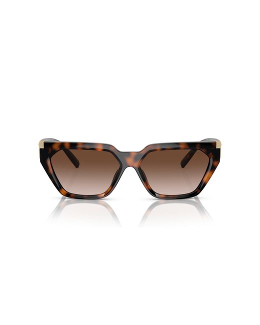 Tiffany & Co Black Tf4205U 80153B Sunglasses Injected Geometric Normal Shaded