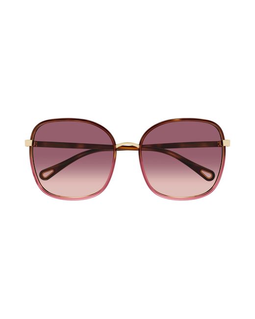 Chloé Black Ch0031S 016 Sunglasses Bio-Injected Squared