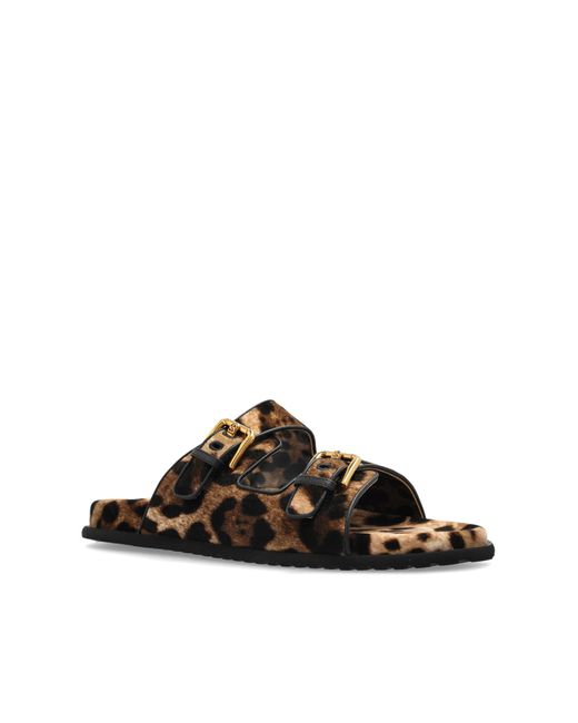 Dolce & Gabbana Black Slides With Animal Print