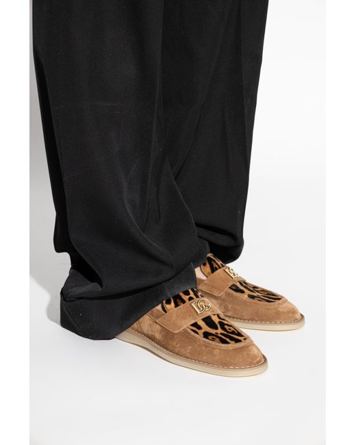 Dolce & Gabbana Brown Suede Shoes