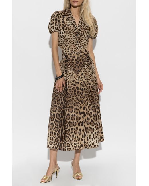 Dolce & Gabbana Brown Top With An Animal Motif