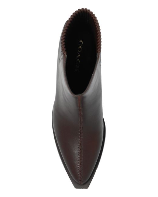COACH Black `prestyn`heeled Ankle Boots ,